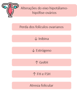 image4-257x300 Terapia hormonal na menopausa: benefícios, riscos e alternativas