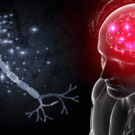 Ilustração do cérebro e de neurônios mostrando como medicamentos atuam nas vias da dor no sistema nervoso