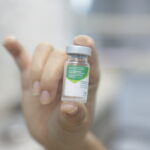 Vacina contra gripe com vírus influenza fragmentado e inativado, dose de 0,5 mL